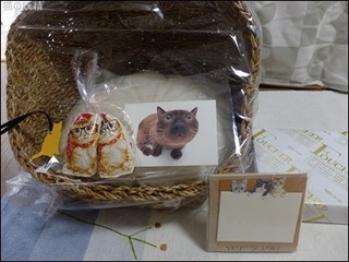 s-DSCF3127.jpg