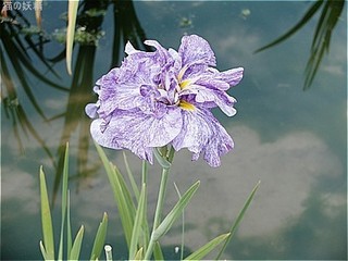 s-DSCF3158.jpg