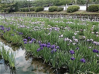 s-DSCF3165.jpg