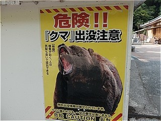 s-DSCF3233.jpg