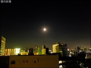 s-DSCF3249.jpg