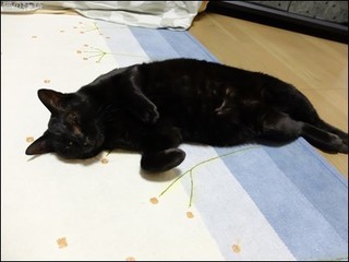 s-DSCF3255.jpg