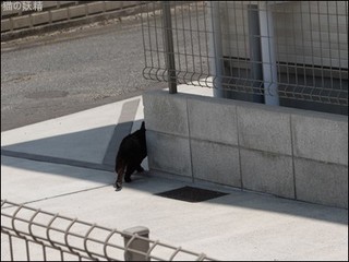 s-DSCF3270.jpg