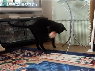 s-DSCF3292.jpg
