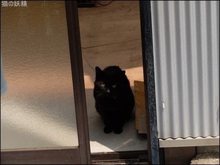 s-DSCF3301.jpg