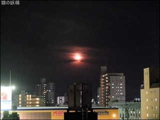 s-DSCF3315.jpg