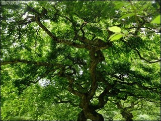 s-DSCF3360.jpg