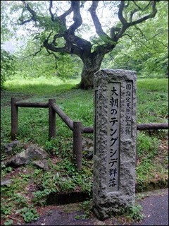 s-DSCF3364.jpg