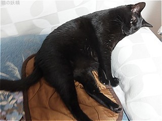 s-DSCF3373.jpg