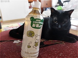 s-DSCF3386.jpg