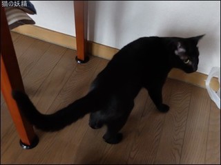 s-DSCF3412.jpg