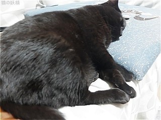 s-DSCF3436.jpg