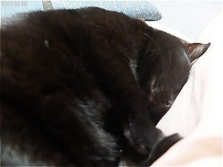 s-DSCF3448.jpg