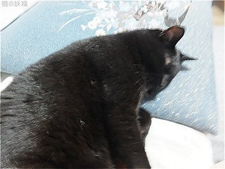 s-DSCF3457.jpg