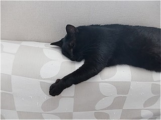 s-DSCF3510.jpg