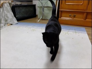 s-DSCF3510.jpg