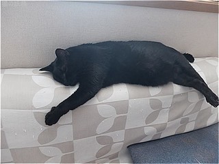 s-DSCF3511.jpg