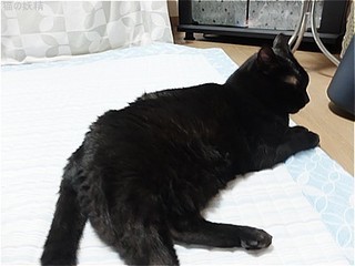 s-DSCF3514.jpg
