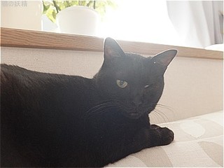 s-DSCF3521.jpg