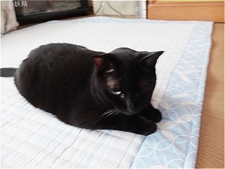 s-DSCF3524.jpg