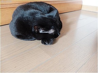 s-DSCF3529.jpg