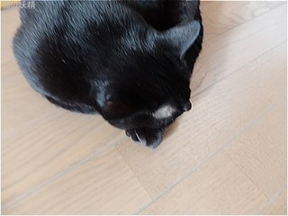 s-DSCF3530.jpg