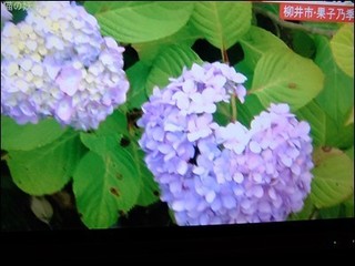 s-DSCF3544.jpg