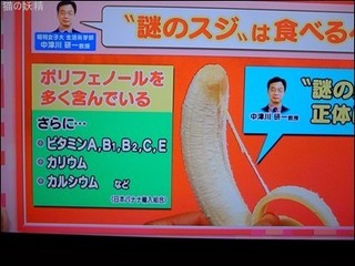 s-DSCF3550.jpg