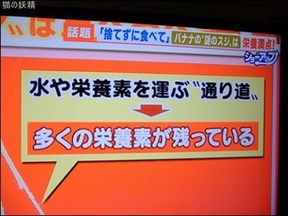 s-DSCF3554.jpg