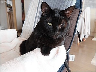 s-DSCF3564.jpg