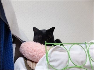 s-DSCF3580.jpg