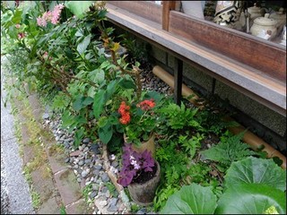 s-DSCF3584.jpg