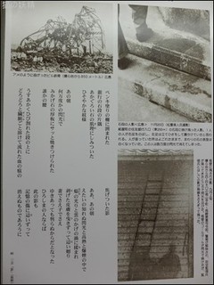 s-DSCF3610.jpg