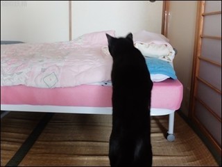 s-DSCF3655.jpg