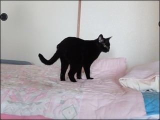 s-DSCF3661.jpg