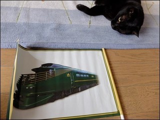 s-DSCF3678.jpg