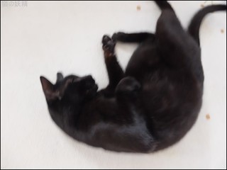 s-DSCF3737.jpg