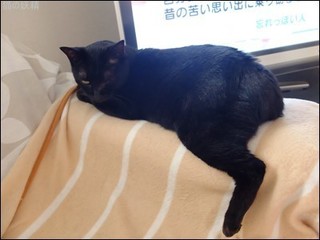 s-DSCF3764.jpg