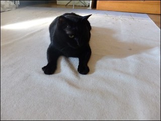 s-DSCF3789.jpg
