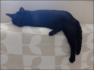 s-DSCF3806.jpg