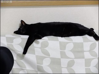 s-DSCF3808.jpg
