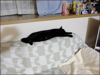 s-DSCF3810.jpg