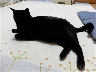 s-DSCF3832.jpg