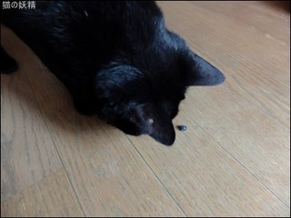 s-DSCF3835.jpg