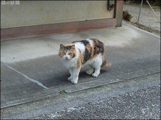 s-DSCF3866.jpg