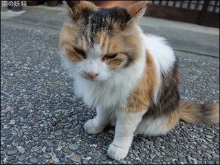 s-DSCF3871.jpg