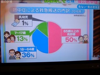 s-DSCF3997.jpg