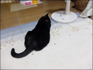 s-DSCF4023.jpg