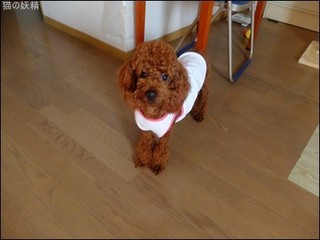 s-DSCF4034.jpg