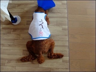 s-DSCF4044.jpg